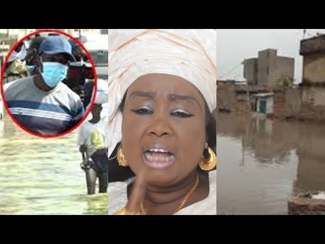 Inondation : L’ex député Amy Cheikh Yaba  se défoule sur Sonko… (Vidéo)
