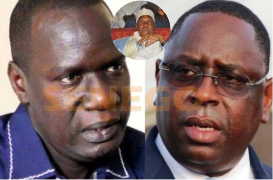 Constitution et 3e mandat : « Le cas de Wade différent de celui de Macky », Momar Diongue