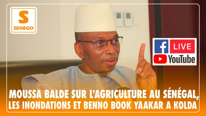 Entretien exclusif avec Moussa Baldé, ministre de l’Agriculture et de l’équipement rural (Senego-TV)