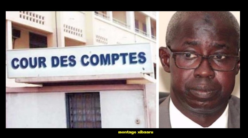 Affaire Teliko : La Cour des comptes désavoue Aliou Niane