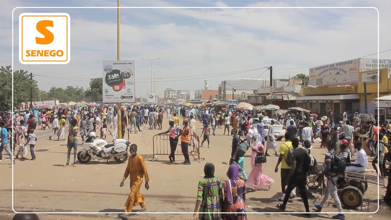 Revivez les temps forts du Grand Magal de Touba 2020 (Senego-TV)