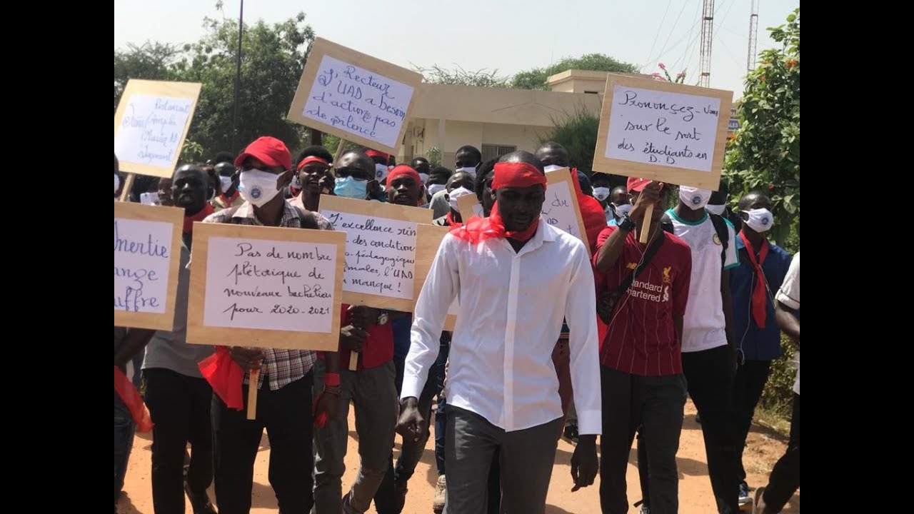 Université Alioune Diop de Bambey : Les étudiants humilient le recteur (vidéo)