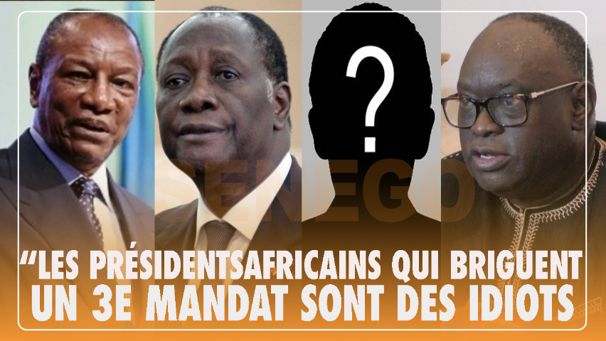 Me El Hadji Diouf: « Les présidents africains qui briguent un 3e mandat sont des idiots » (Senego Tv)