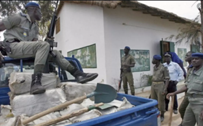 Trafic de drogue : Un vaste réseau international démantelé par l’Ocrtis…