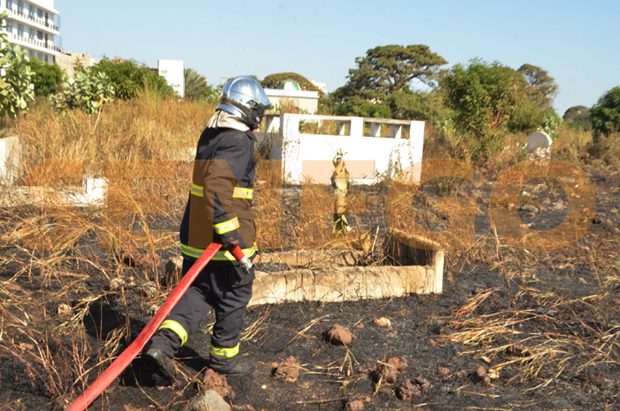 (20 photos) – Cimetière de Soumbédioune « Abattoir » en proie aux flammes ce jeudi. Regardez