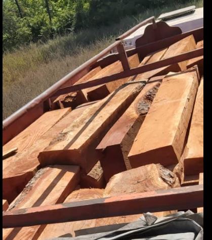 Casamance : La gendarmerie interpelle un trafiquant de bois avec 141 troncs de madriers
