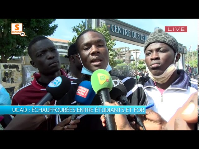 UCAD : « Les étudiants n’ont pas reçu leurs bourses pendant deux mois », Cheikh T. Cissokho (Vidéo)