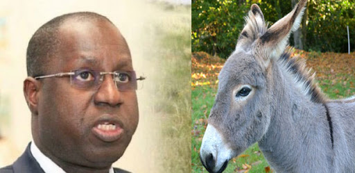 Marché de 294 ânes: Abdou Karim Sall se lave à grande eau