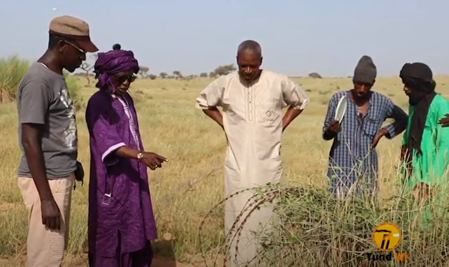 Nébuleuse autour de 20 000 ha : Guerre mystique contre une puissance industrielle à Dagana (vidéo)