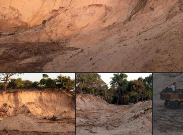 Ziguinchor: L’exploitation sans autorisation d’une forêt par un Français inquiète (Photos + Vidéos)