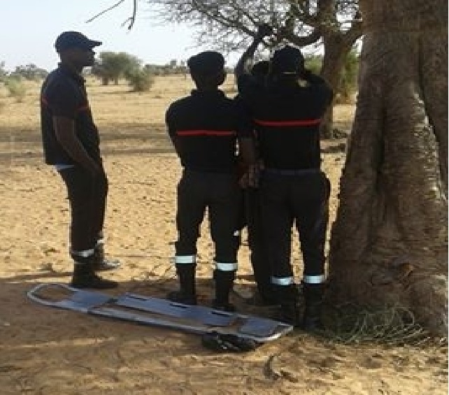 Kahone : Un garçon de 13 ans meurt électrocuté du haut d’un baobab
