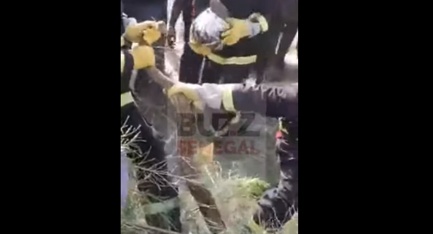 Place-Gadaye : Un gros serpent attrapé par les sapeurs…(vidéo)