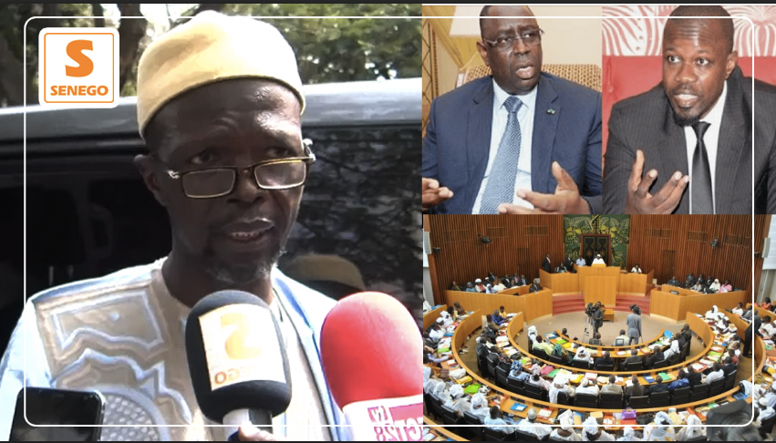 Plénière levée immunité Sonko: Cheikh Bara Doly prêt au « défanté avec la majorité » Senego TV