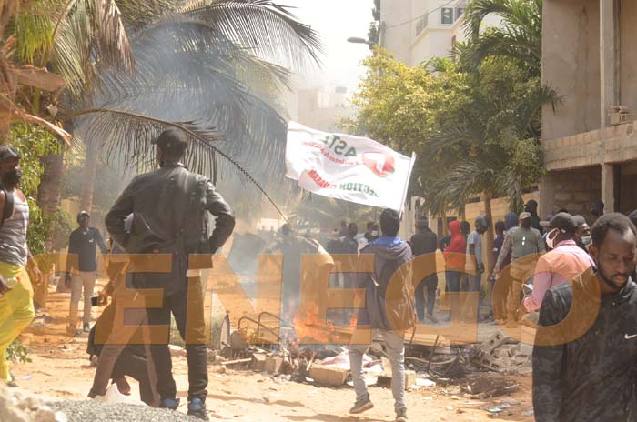Investigations virtuelles : 51 Sonko boy’s arrêtés par la Dic et la Division cybercriminalité