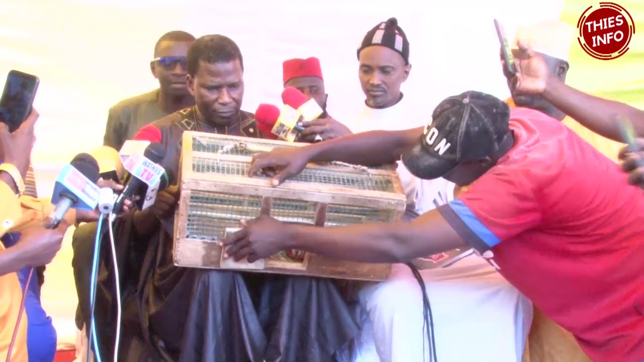 Le message de Iran au président Macky Sall…(vidéo)