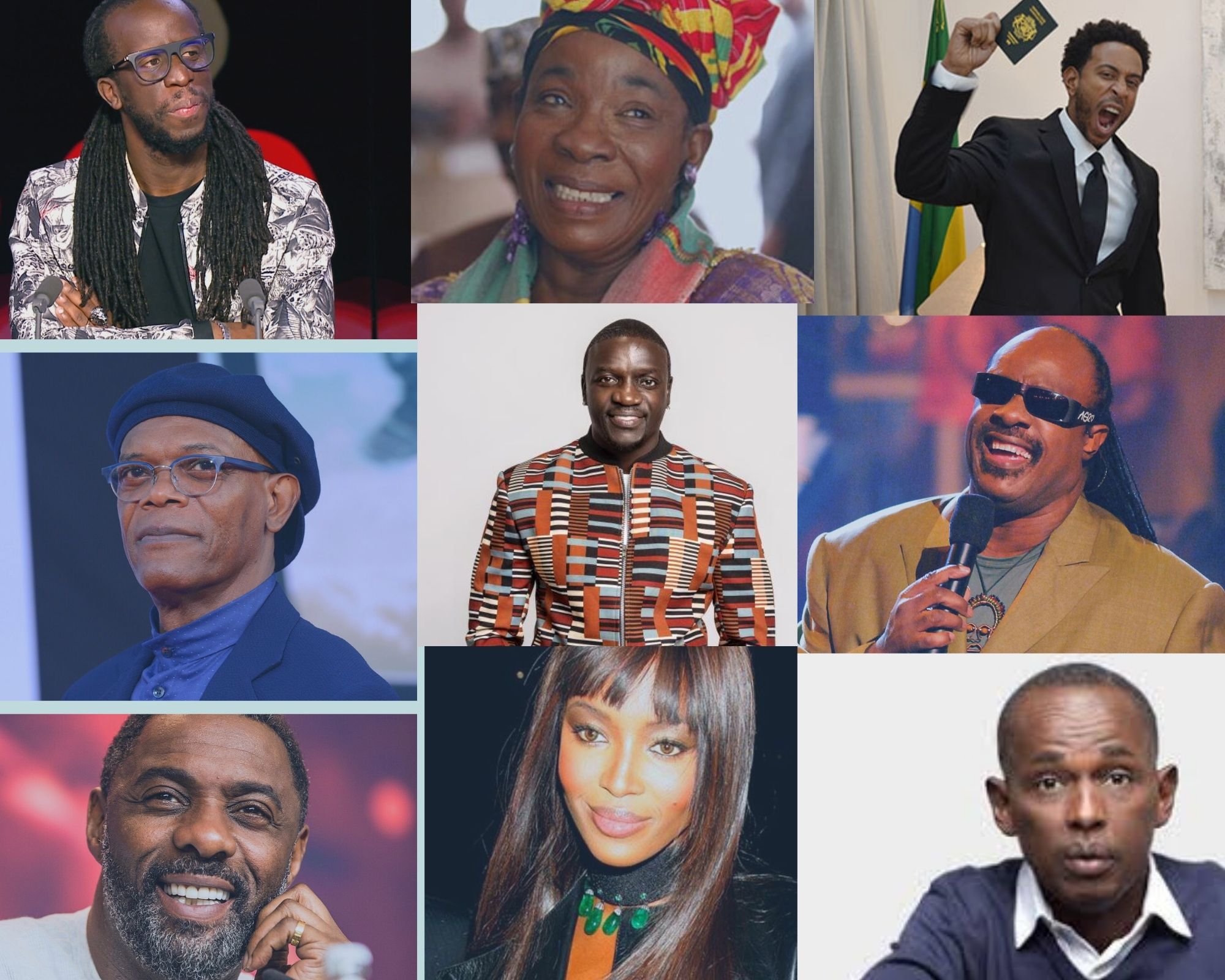 Choix Stevie Wonder, Idris Elba, Ludacris… : Quand les stars retournent à leurs racines africaines