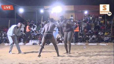 Fatick : Revivez la 8è Edition de lutte traditionnelle, drapeau Dr Cheikh Kanté (Senego Tv)