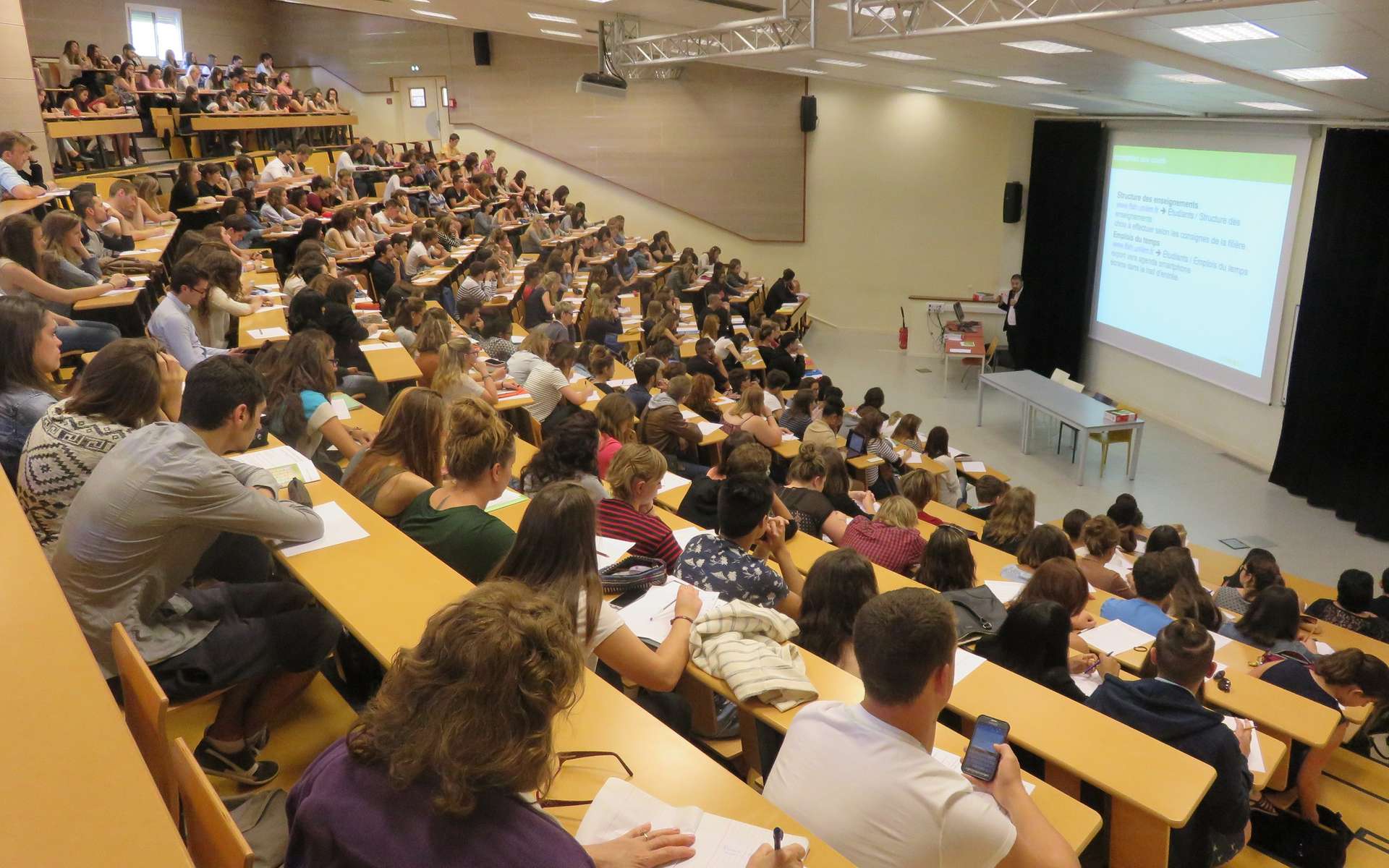 Classement des universités : La première en Afrique est 220e mondiale