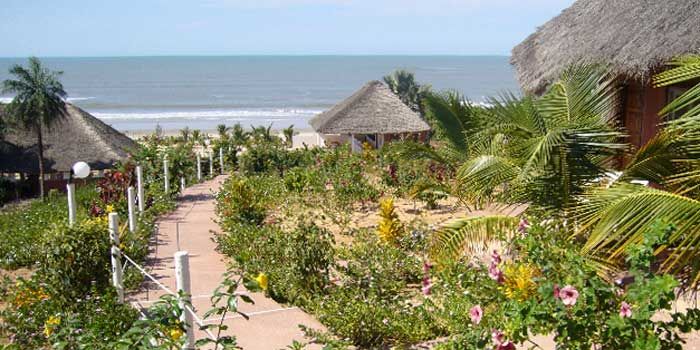 Lutte contre la déforestation et l’érosion côtière: la jeunesse de Ziguinchor en première ligne