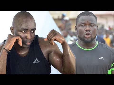 Analyse Coach Allouche combat Eumeu Sène vs Lac 2: « La défaite est interdite pour… »