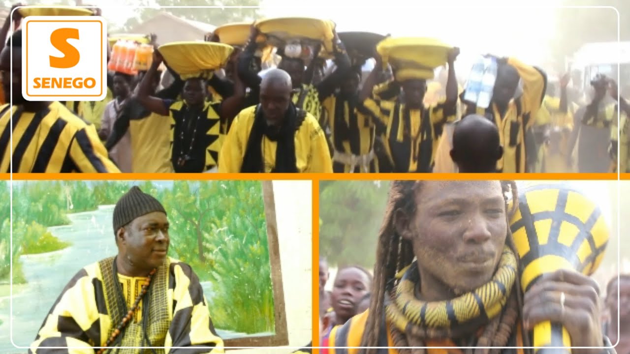 Ndogou Baye Fall à Touba : Les disciples de Cheikh Ridial Seck sacrifient à la tradition (Senego TV)