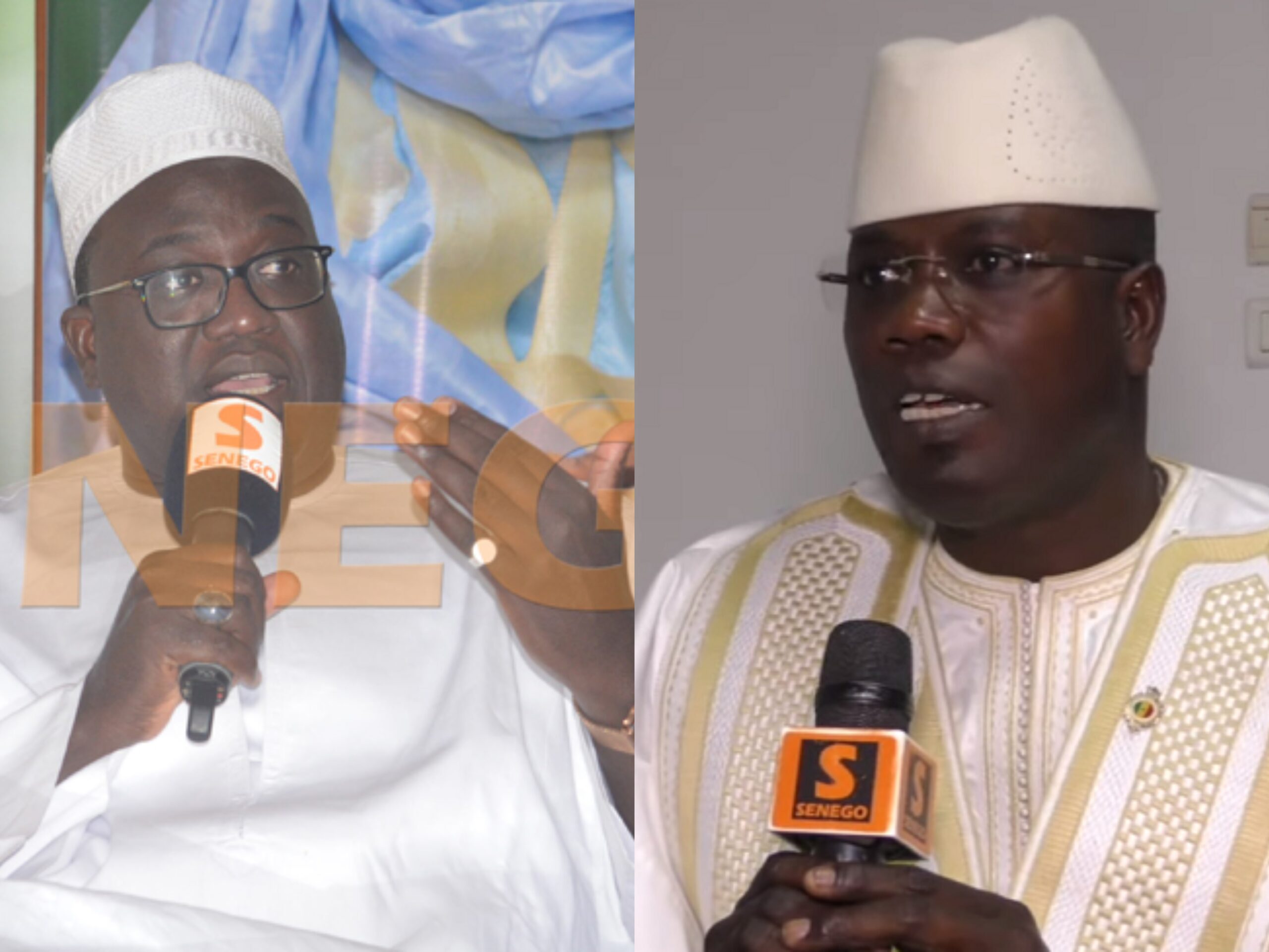 Locales 2022 : Cheikh Lahad Mbacké Gaïndé Fatma « humilié » par Macky, selon A. Bara Dolly