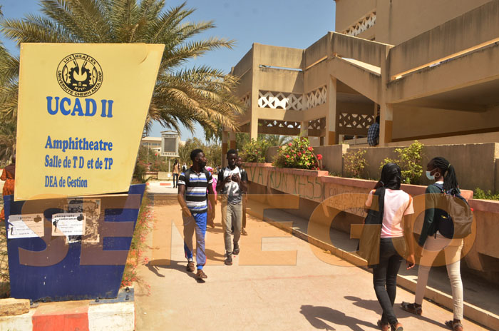 Universités du Sénégal : Les orientations des nouveaux bacheliers prévues en début  d’octobre 2023