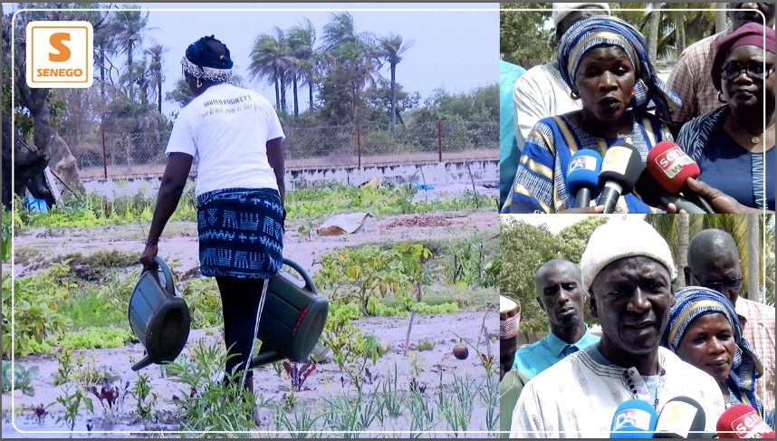 Economie sociale et solidaire : Zahra Iyane Thiam sillonne la Casamance des profondeurs (Senego-TV)