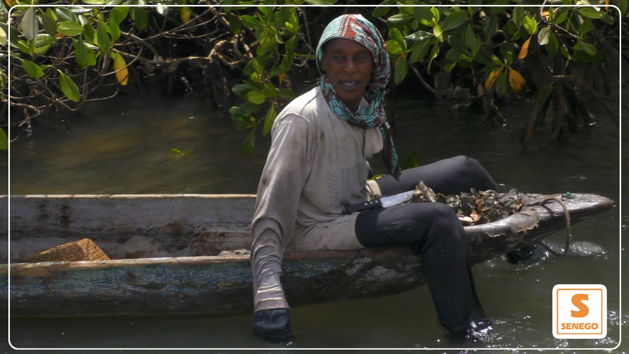 Fatou Sonko, la brave dame qui vit de la pêche à Elinkine (Senego TV)