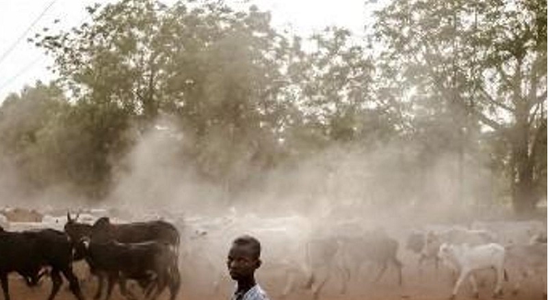 Nigeria : 53 personnes tuées par des voleurs de bétail dans le nord-ouest du pays