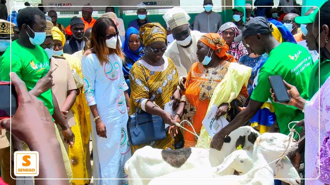 Placement et Passage d’actifs animaux : Zahra Iyane Thiam à Taiba Niassene…