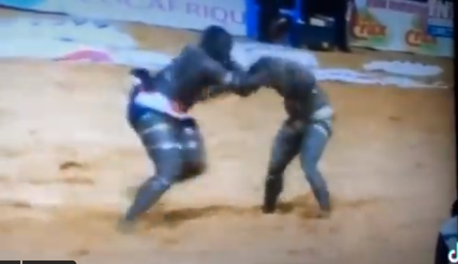 Lutte: Aliou Seye 2 met KO Issa Pouye (vidéo)