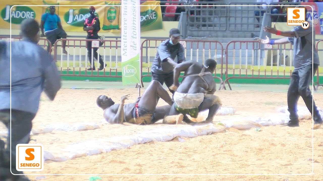 Arène nationale : Gris 2 bat Abdou Diouf en une minute (Senego TV)