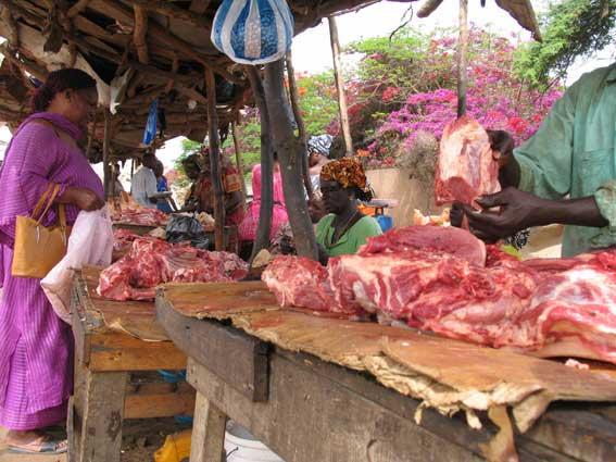 Tabaski 2021: Le Collectif des bouchers de la région de Dakar fustigent l’importation du bétail…