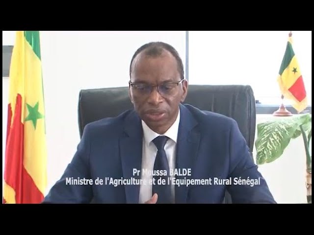 Pré-sommet des Nations unies sur les systèmes alimentaires: Les efforts du Sénégal exposés…(Vidéo)