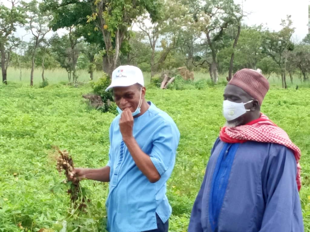 Retour des jeunes à l’agriculture : « And Défar Kaolack » dit oui à Macky Sall