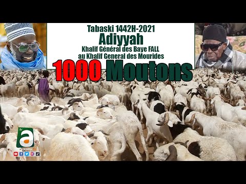 Tabaski 2021: Le khalife des Baye Fall remet 1000 moutons à Serigne Mountakha (vidéo)