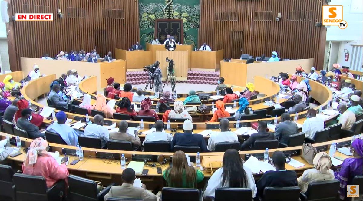 Revivez Senego Assemblée : Modification du Code électoral, majorité vs opposition
