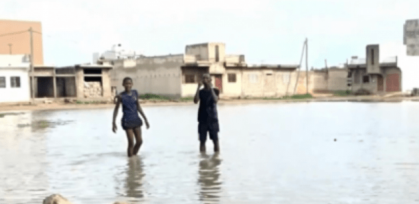Drame hivernage : Deux enfants Talibés meurent noyés dans une mare d'eau à Thiès