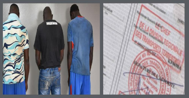 Trafic de fausses cartes grises : La bande à « Laye Gotté » neutralisée