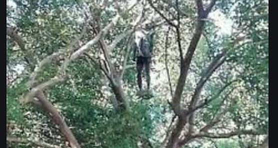 Wassadou-Vélingara : Un élève de CM1 s’est pendu à l’aide de ses gris-gris…