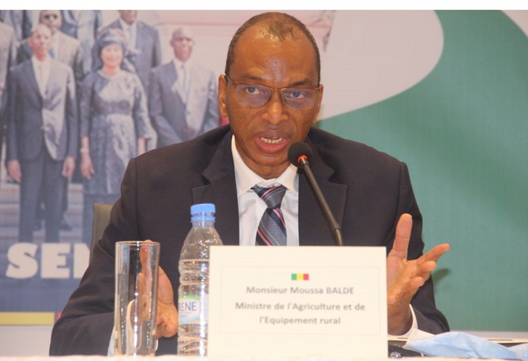Brillant résultats des candidats du Sénégal au CAMES : Le Président SALL félicite son MESRI