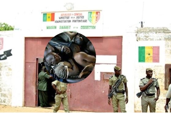 Prisons sénégalaises : 10 532 détenus pour une capacité d’accueil de 4 924