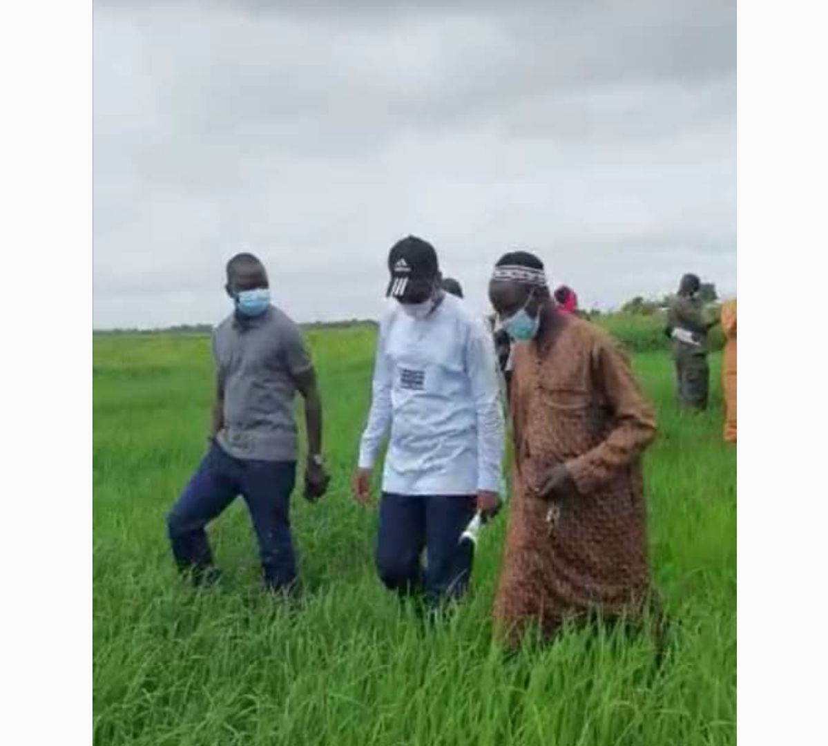 Ibou Faye ( « And Défar Kaolack ») pulvérise les détracteurs du ministre Moussa Baldé…