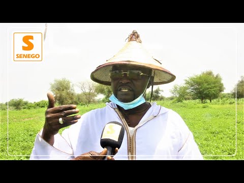 Yeewi Askan Wi: « La coalition ne va pas durer comme Benno Bokk Yaakar »(S. Modou Bara Doly)