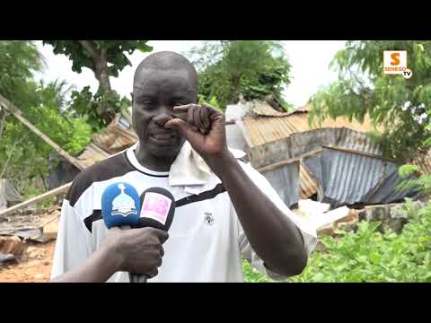Déguerpis de la zone des Niayes : Les cultivateurs étalent leur colère contre les Eaux Et Forêts