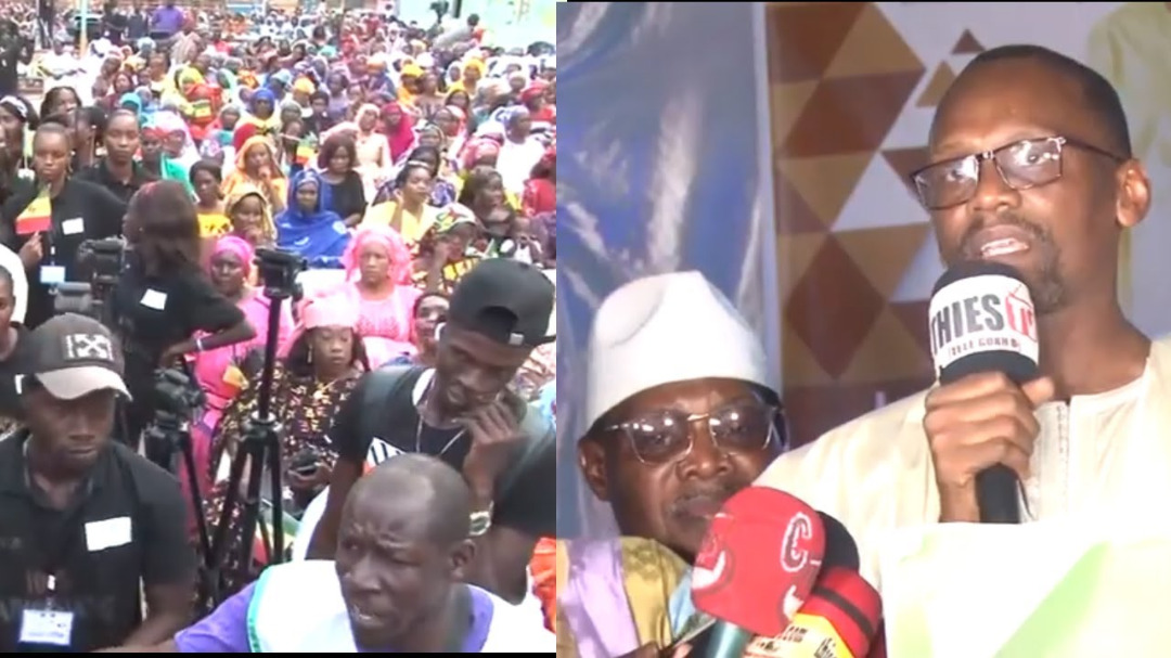 Élections locales / Thiès Nord : Habib Niang investi