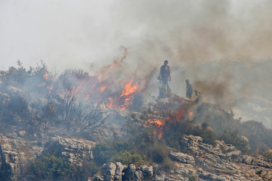 Syrie : 24 personnes exécutées pour avoir provoqué des incendies en 2020