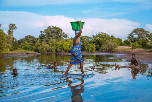 La biodiversité du Delta du Saloum sous haute menace due aux actions anthropiques