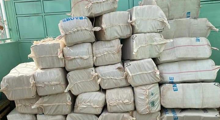 Nioro : Saisie de 300 kg de chanvre indien (Douanes)